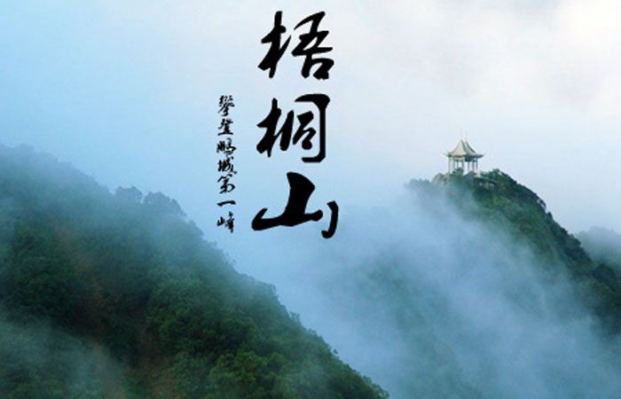 深圳梧桐山景区标识导视系统规划